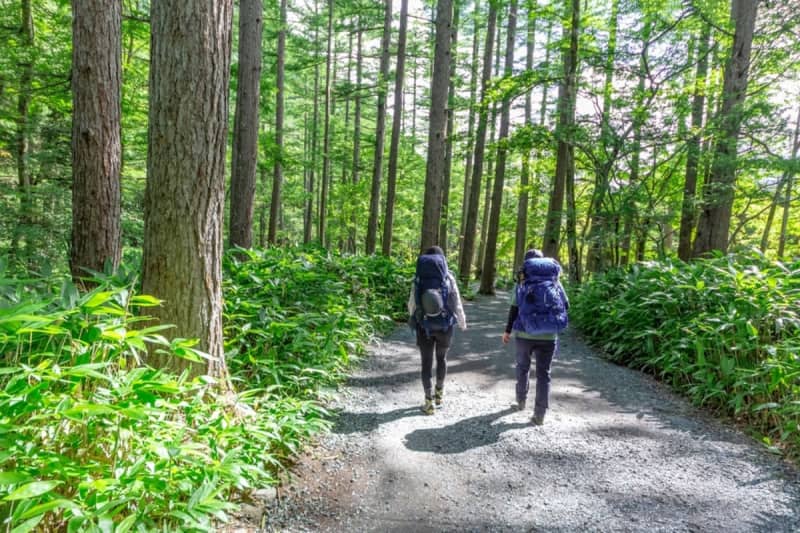「高尾山」は普段着で登って大丈夫？ 登山用の装備をそろえるべき？ 相場や登山の注意点を解説