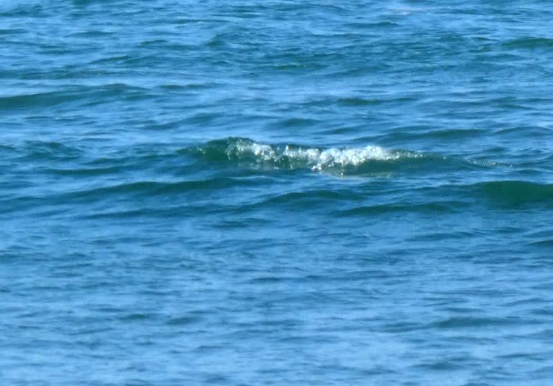 水難事故か、男性サーフボード上で心肺停止　「泡を吹いて意識がない」通報　旭・飯岡の海岸