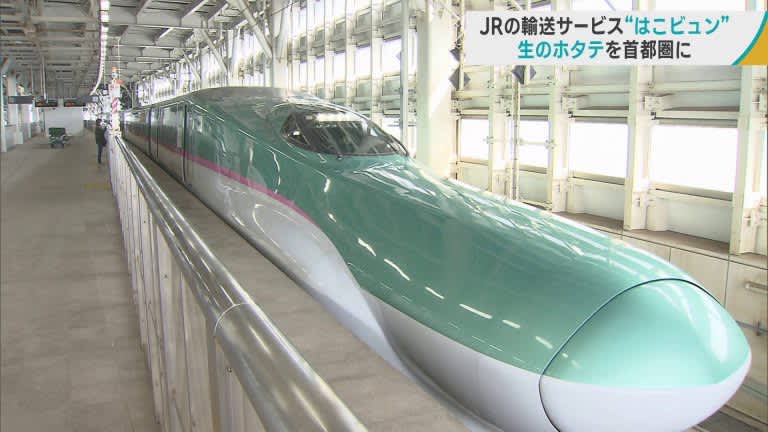 青森県産「生ホタテ」その日のうちに首都圏で販売　JR東日本の新幹線輸送サービス「はこビュン」を活用