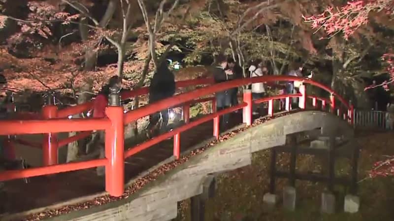 Kawaka Bridge in Ikaho Onsen ranks XNUMXrd in Japan as a spot for spectacular autumn leaves at night This year, starting from the XNUMXth of this month