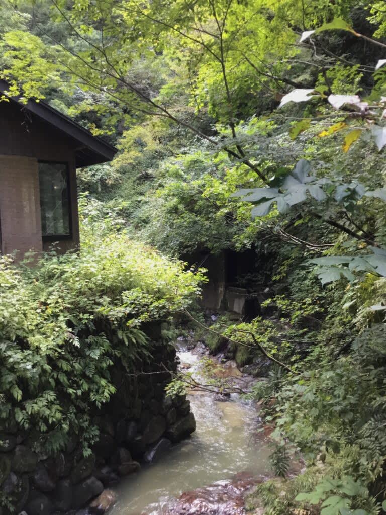 地球からの贈り物と共に歩く