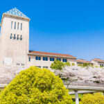 Free tuition at public universities.Will the deviation value increase due to concentration of popularity?What will be the impact on surrounding universities?