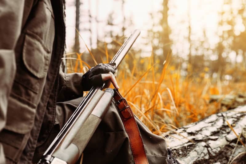 狩猟の免許が欲しい方必見！北海道蘭越町の「銃猟免許等取得支援事業補助金」を解説