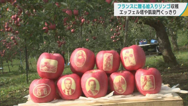 エッフェル塔や凱旋門くっきり　フランスに贈る「絵入りリンゴ」の収穫／青森・弘前市