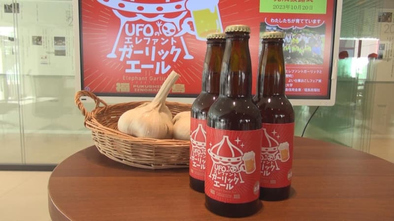 巨大ニンニク「エレファントガーリック」使ったクラフトビール　500本限定で販売へ　福島
