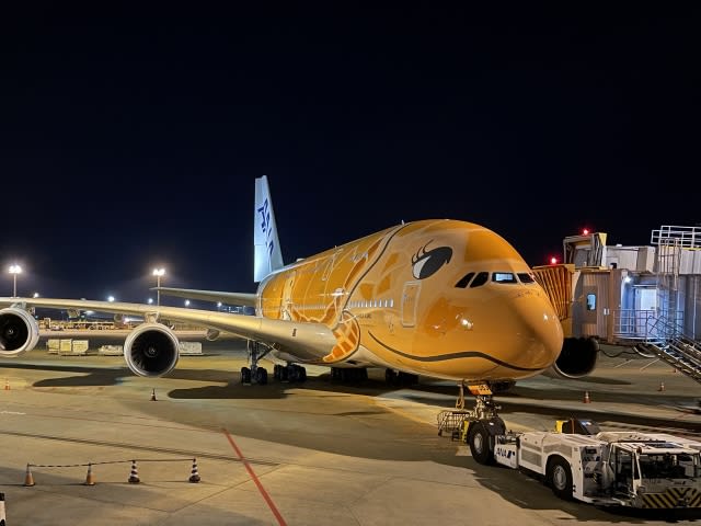 Finally off to Hawaii! A380 double-decker ANA “Flying Honu” 2rd aircraft debuts