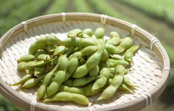 Touring Hyogo and Hokusetsu ~ Sanda City ~ Autumn's attraction is two bean gourmet foods: black edamame, which has a particularly large grain, and the other?
