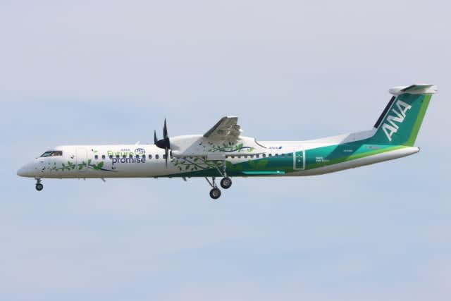 ANA Future Promise special livery aircraft starts operating on the Itami/Aomori route!Ecobon revival