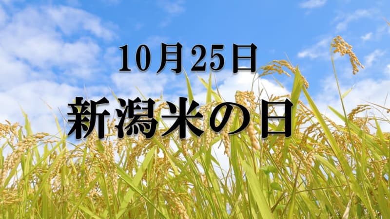 Today is “Niigata Rice Day” What is the surprising relationship between thunder and rice?