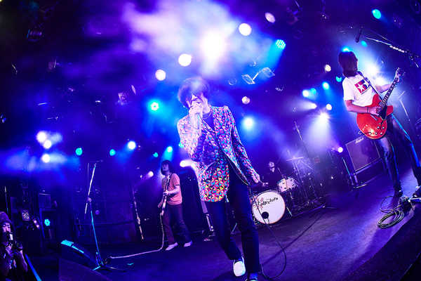 THE COLLECTORS decides paid distribution of Quattro Romance Three Live performance in June