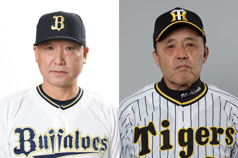 [Japan Series] Starting lineup announced!Orix's Yuma Tongu returns to the starting lineup & Hanshin's Ryo Watanabe plays as designated hitter