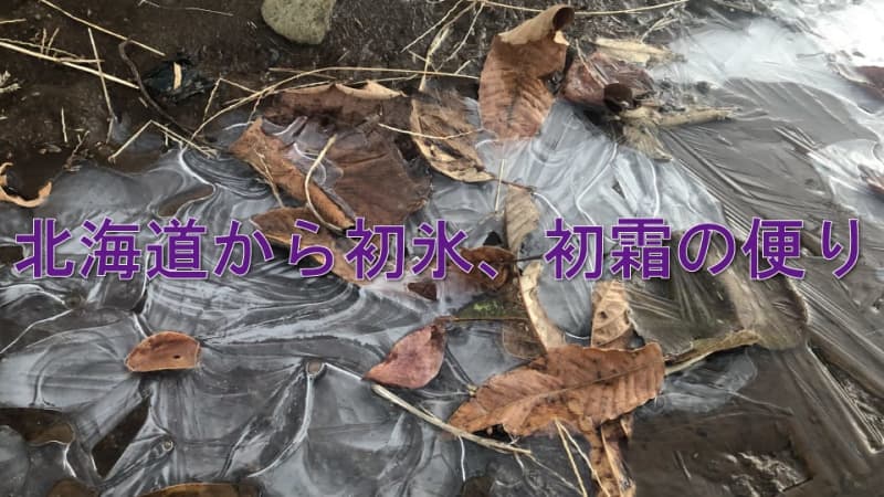 First ice and first frost news from Hokkaido