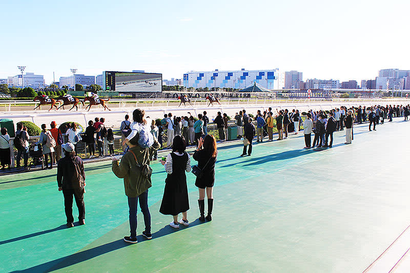 東京シティ競馬で「ダート競馬の祭典 JBC」11/3 開催！ 馬産地 北海道の絶品グルメやジン…