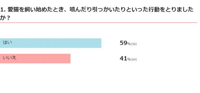 飼い始めたばかりの猫が噛みつく、引っかく。こんなときどうする？