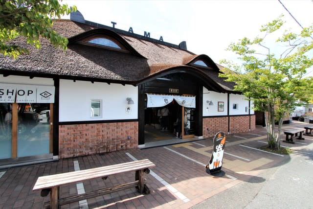 Have you gone yet? Ranking of “Interesting Stations in Kansai”…1st place is the station in Wakayama Prefecture where you can “meet the cat stationmaster”