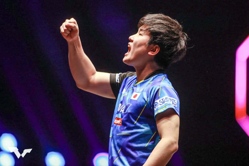 張本智和 ベスト8進出！冷静なプレーで2回戦をストレート勝利【卓球 WTTチャンピオンズ】