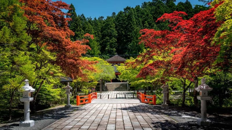 [Japan's Three Great Sacred Sites] Aomori "Osorezan", Wakayama "Koyasan" and one more place?Introducing history and charm