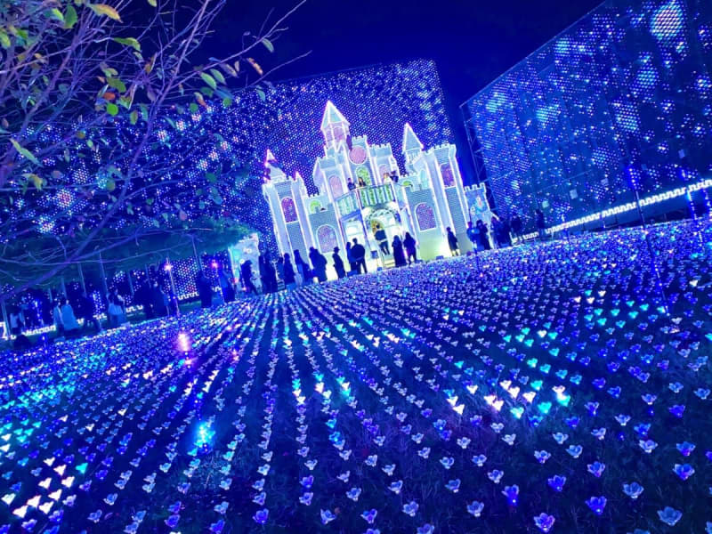 [Latest report on ``Ashikaga Flower Park'', ranked No. 7 in Japan for 1 consecutive years] Overview of Japan's three major illuminations ``Flower Garden of Light''...