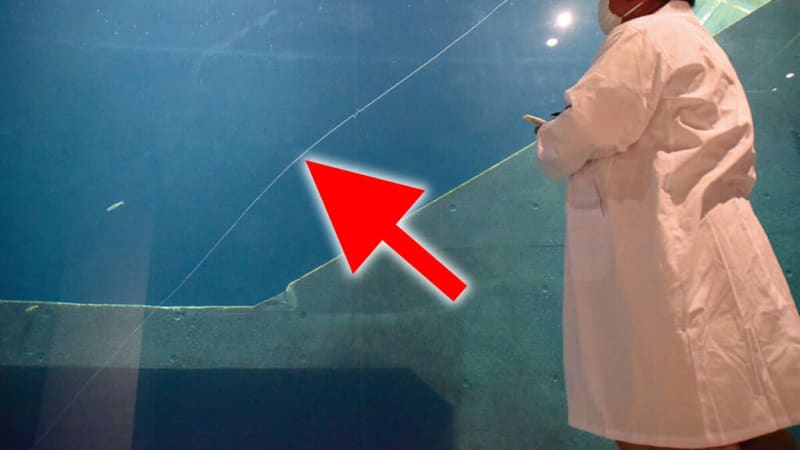 [really? ] Does high-density PE line sink properly?I tested it in an aquarium and the results were amazing...