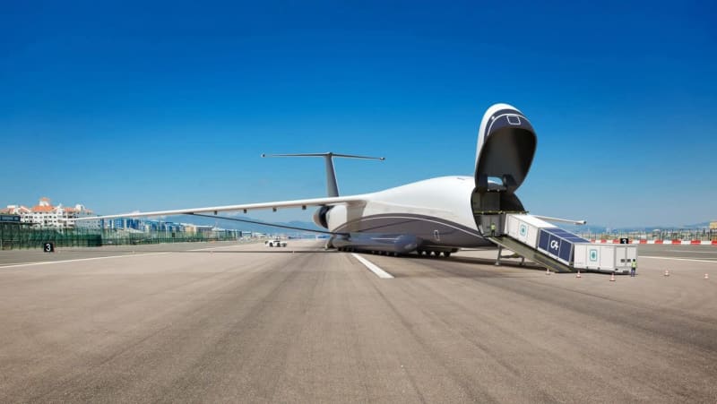 Innovative system and branding strategy for the autonomous unmanned cargo aircraft “Droneliner”