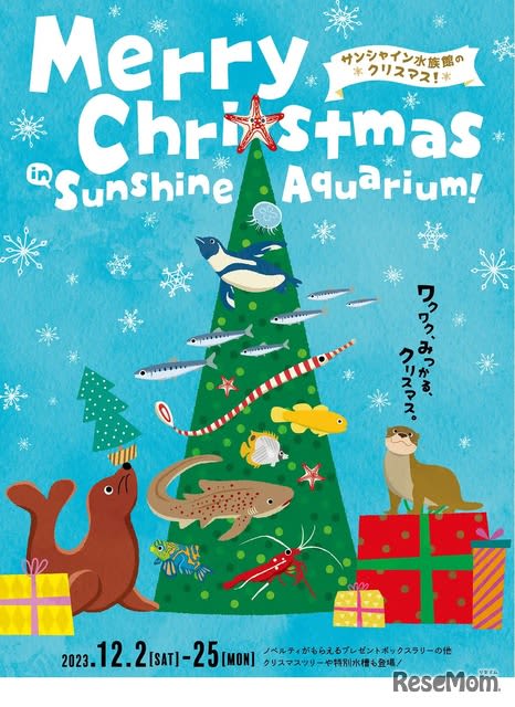 Sunshine Aquarium “Christmas Event” 12/2-25
