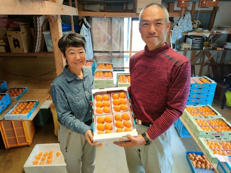 Mr. Nishijima of Nagasaki, who changed jobs as a loquat farmer, the local community supports the ``couple who love things'' Despite the harsh reality, they strive to protect the production area
