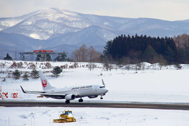 JAL holds sale for January flights!Haneda/Itami Line from 1 yen