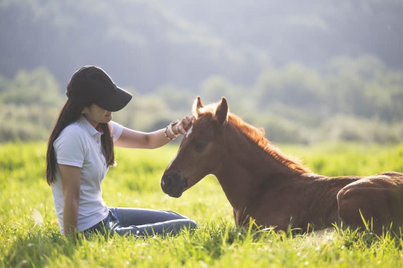 “人と馬と幸せな牧場を創りたい” リアルワイルドな道東でチャレンジする新しい牧場「Heart …