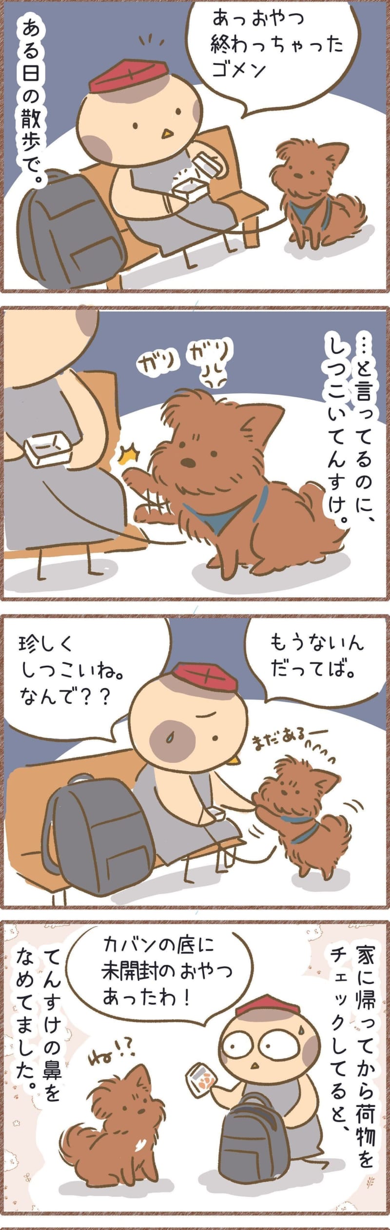 予想以上に鼻が利く愛犬「まだおやつが残っているよね？」｜連載「こぐま犬てんすけ」vol…