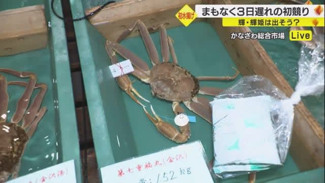 ⚡｜[Breaking news] The highest peak of snow crab “Kira” has been certified by Kanazawa Port for the first time in 2 years