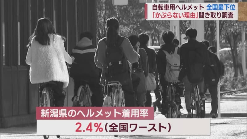 なぜ新潟県民は自転車用ヘルメットをかぶらないのか 着用率全国最下位で緊急調査【新潟】
