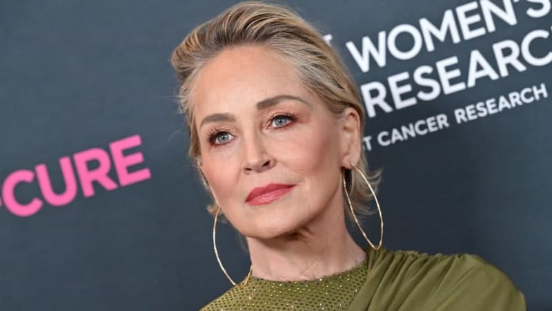 俳優シャロン・ストーン氏、米配給大手元幹部から「性的嫌がらせ」　1980年代に打ち合せ中