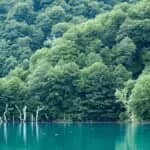 Kanazawa University project wins 2023 UNESCO/Japan ESD Award