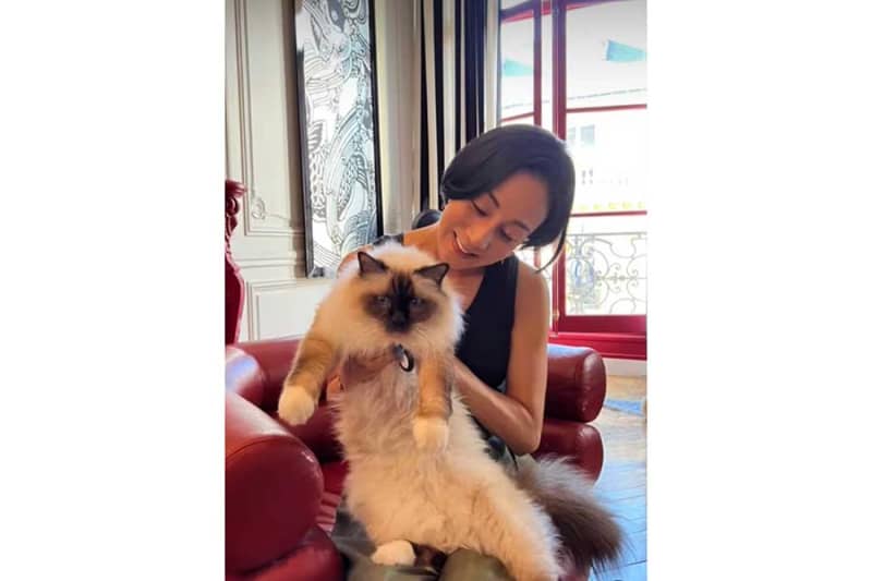Reached heaven at the age of 5... Eriko Nakamura's thoughts about her beloved cat "It brought me so much happiness."