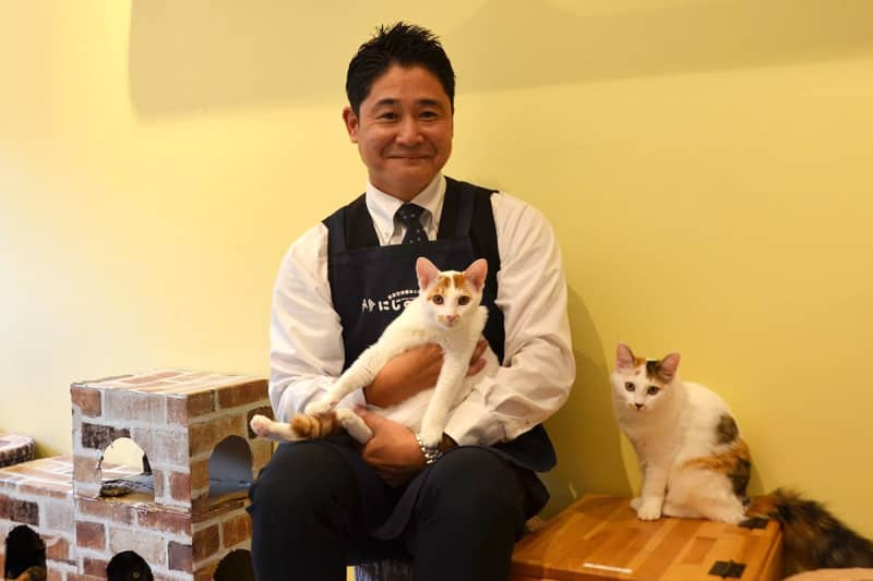 里親探しの新しい形を　平塚の「保護猫カフェ」開店5年　コロナ禍耐え、780匹の譲渡実現