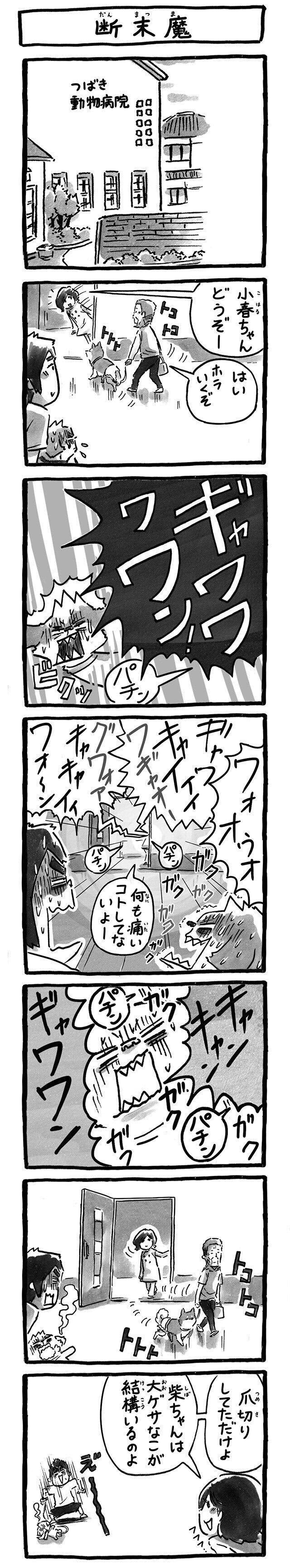 動物病院で響く断末魔|連載「シーズー犬のてんぽ」第218回