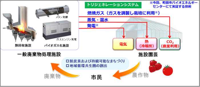 ごみ処理施設で生じる燃焼ガス中のCO2をイチゴ栽培に利用する実証を開始　～町田市バイオエネルギ…