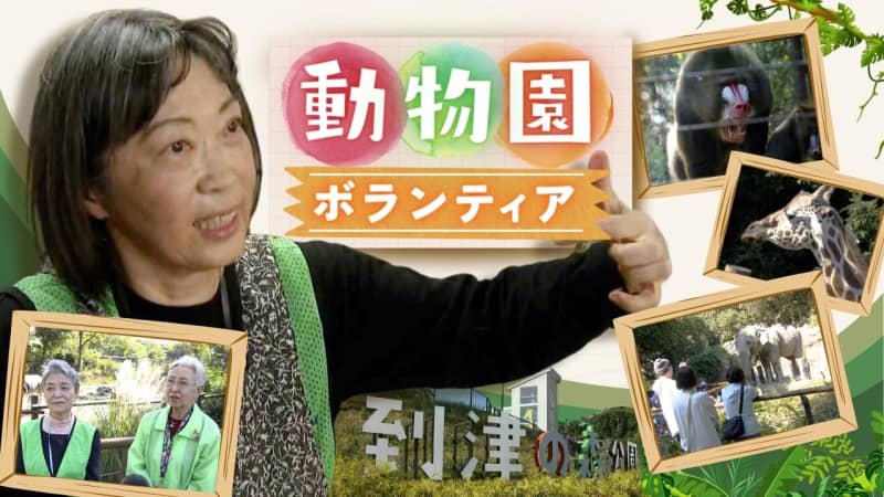 “I can’t believe I get to take care of rare animals!” Challenges at Itotsunomori Park, a zoo supported by volunteers
