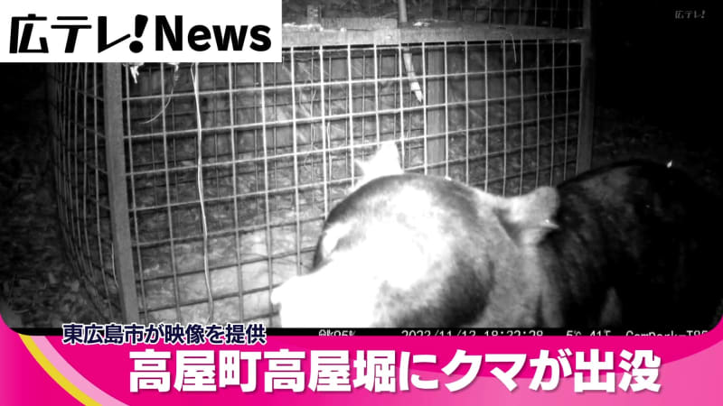 【クマ出没】設置カメラがツキノワグマの姿とらえる　東広島市高屋町　市担当者がパ…