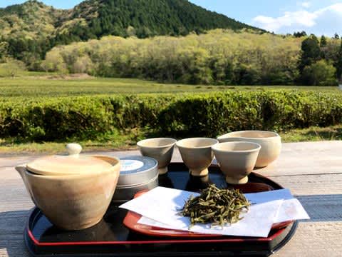 ``Tea Garden Cafe'' where you can enjoy with all five senses while looking at the tea fields A former office worker inherits 300 years of history of fine tea in Kamikawa Town, Hyogo