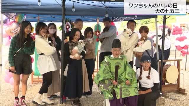 愛するペットの成長を祝う「犬の七五三」　宮崎県