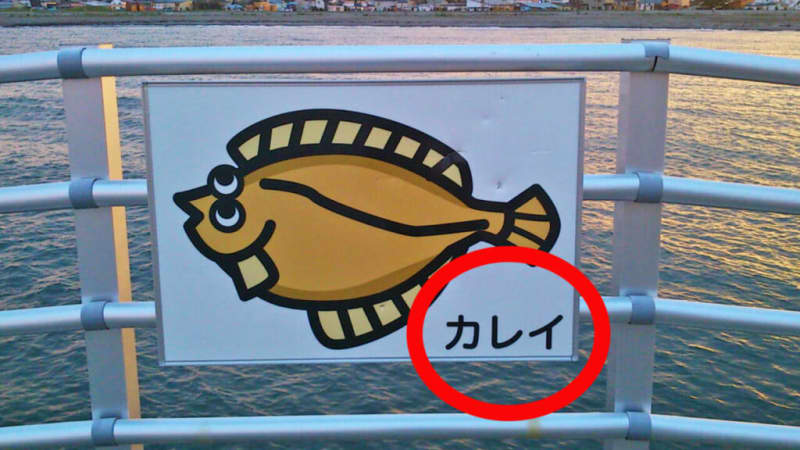 If you notice something strange about this signboard, you must be a fish fan!? What is the real reason behind this strange feeling...!?
