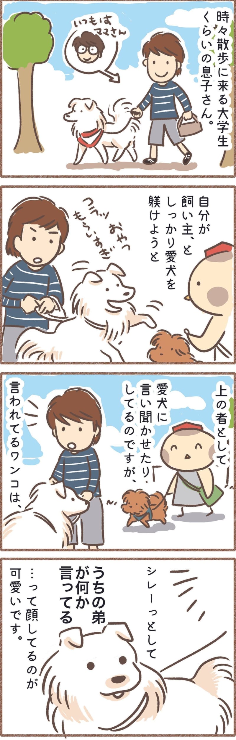 犬の「順位付け」が垣間見えるとき｜連載「こぐま犬てんすけ」vol.231