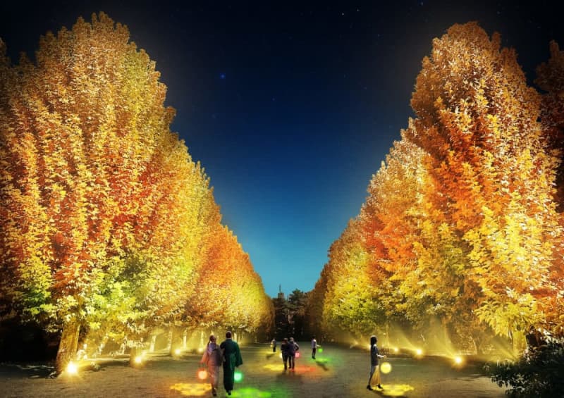[7 selections of autumn leaves illumination in Tokyo] Shinjuku Gyoen National Garden x NAKED, which is attracting attention in 2023!A place in Tokyo where you can go on your way home from work...