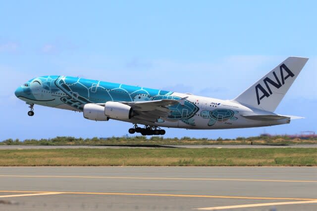 ANA Flying Honu operated flight sale, Narita/Honolulu route from 76,000 yen round trip!Peach points will also be given