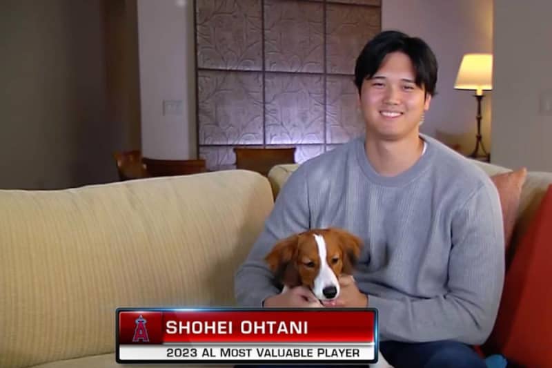 Is “Otani’s dog” who stole the “main role” behind Shohei Otani’s MVP vote a “beagle”?