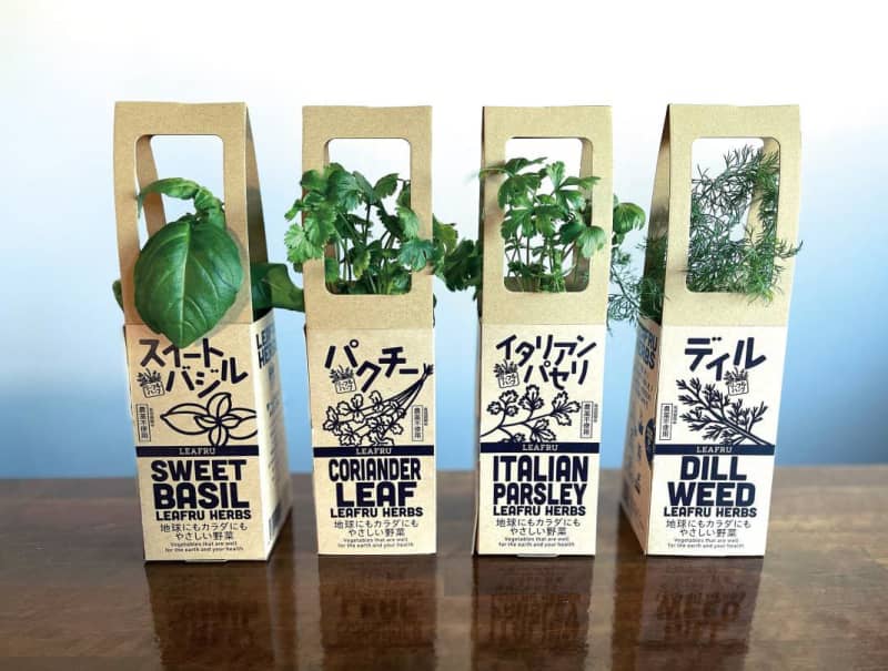 York Benimaru/Carbon-free electricity grown herbs released