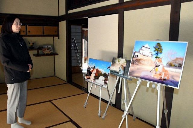 Cat Castle Lord Sanjuro - Various Appearances Photo Exhibition at the Former Hanihara House in Takahashi