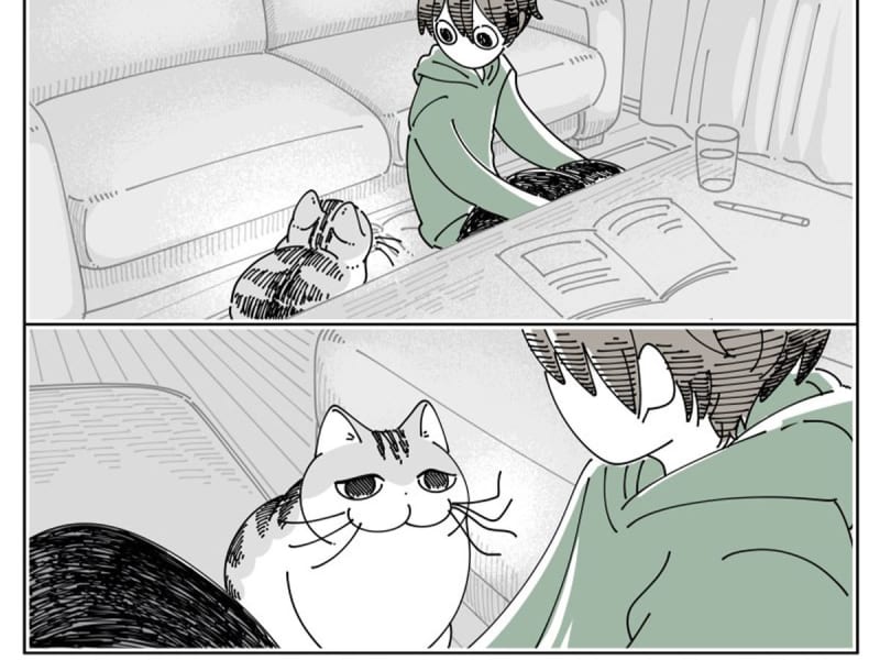 猫のヒゲに寝癖が…　心配になった飼い主が伸ばそうとすると？