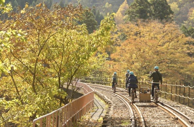 飛騨高山行ったら絶対乗りたい！親子三世代で楽しめる「鉄道廃線・絶景サイクリング」
